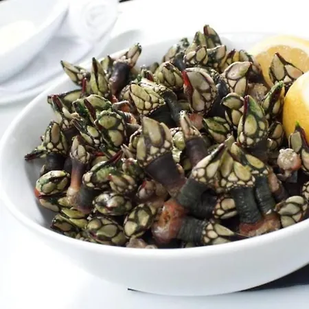 Appartement Casa Do Sol *