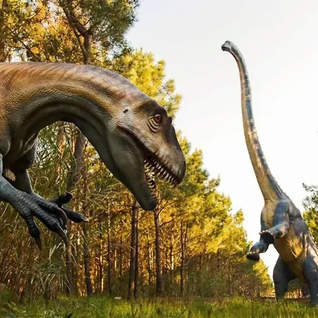 Casa Do Sol Appartamento *